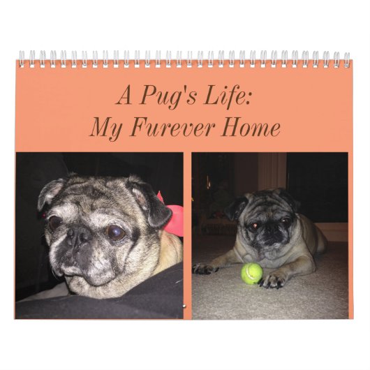 パグのカレンダー カレンダー (カバー)