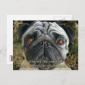 パグのクリスマスの郵便はがき-彼女の目…検討して下さい シーズンポストカード (正面/裏面)