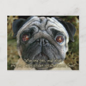 パグのクリスマスの郵便はがき-彼女の目…検討して下さい シーズンポストカード (正面)
