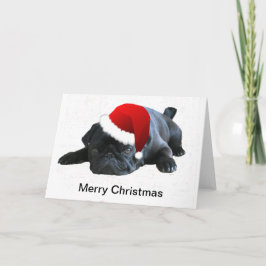 パグのクリスマスカード シーズンカード