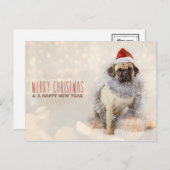 パグのクリスマスカード シーズンポストカード (正面/裏面)
