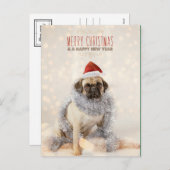 パグのクリスマスカード シーズンポストカード (正面/裏面)
