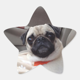 パグのステッカー 星シール