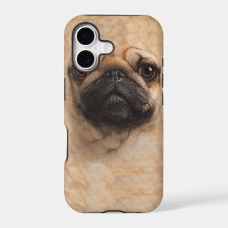 パグのパグの顔のiphone 5カバー場合