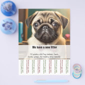 パグのパパがRipp Offを売ってるよ チラシ (シングル)