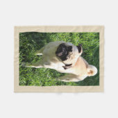 パグのフリースブランケット フリースブランケット (正面(横))