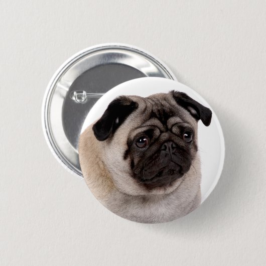 パグの口輪が付いているボタン 缶バッジ (正面&裏面)