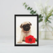 パグの子犬のはがき ポストカード (スタンド正面)