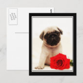 パグの子犬のはがき ポストカード (正面/裏面)