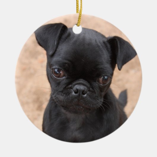 パグの子犬のオーナメント セラミックオーナメント (正面)