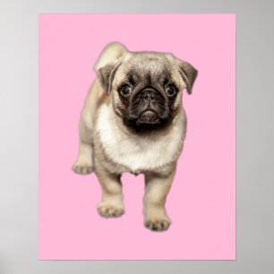 パグの子犬のカスタムな背景色 ポスター