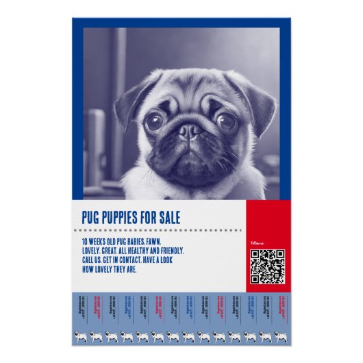 パグの子犬の販売チラシテンプレート ポスター (正面)
