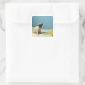 パグの子犬は電話の隣のベッドに座って スクエアシール (バッグ)