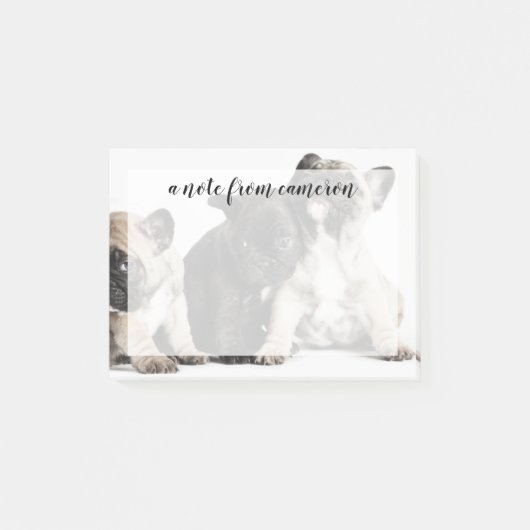 パグの子犬3頭 ポストイット (正面)