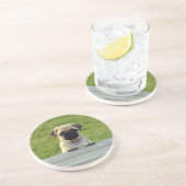 パグの子犬 かわいい写真 コースター (側面)