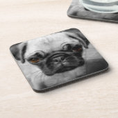 パグの子犬 コースター (左側)
