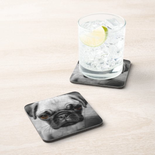 パグの子犬 コースター (右側)