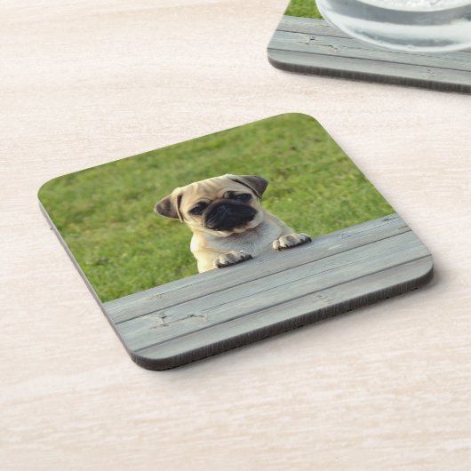 パグの子犬 コースター (左側)