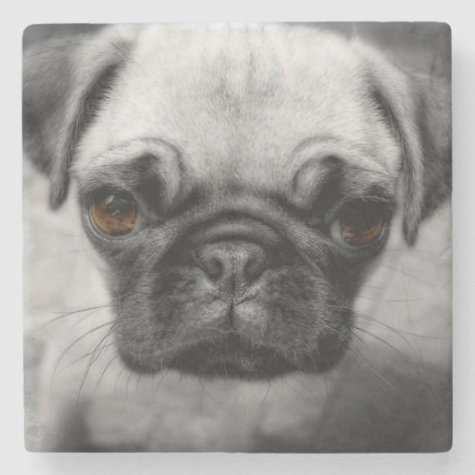 パグの子犬 ストーンコースター (正面)