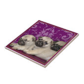 パグの子犬 タイル (側面)