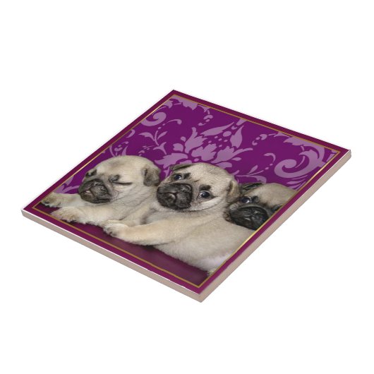 パグの子犬 タイル (側面)