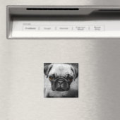 パグの子犬 マグネット (インサイチュ (食洗機))