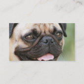 パグの小犬の名刺 名刺 (裏面)