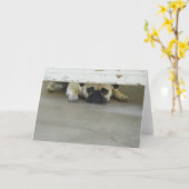 パグの挨拶状-ブランク--を中かいま見ます カード (黄色い花)