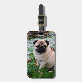 パグの挿入物あなた自身の写真 ラゲッジタグ