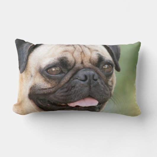 パグの枕 ランバークッション (正面)