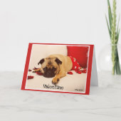 パグの溝 シーズンカード (正面)