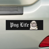 パグの生命 バンパーステッカー (車上)