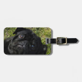 パグの黒 ラゲッジタグ (正面横)