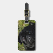 パグの黒 ラゲッジタグ (正面縦)
