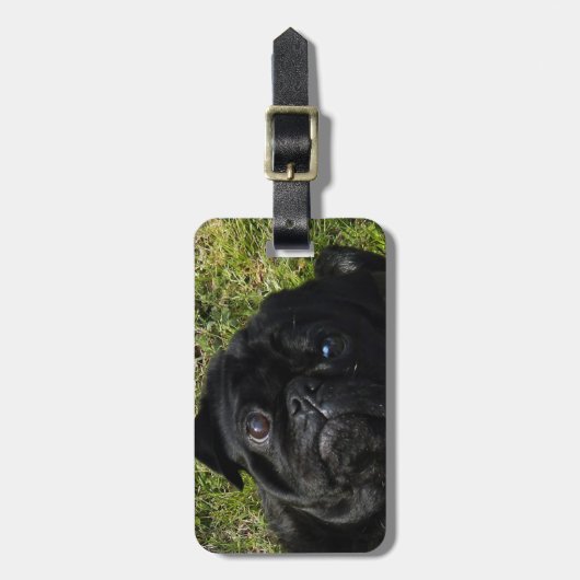 パグの黒 ラゲッジタグ (正面縦)