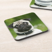 パグのheadshot コースター (左側)