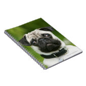 パグのheadshot ノートブック (右側)