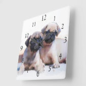 パグは正方形の時計の後をつけます スクエア壁時計 (傾斜)