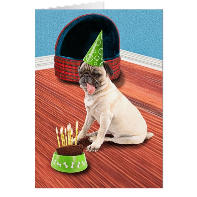 パグは舐めます (正面)