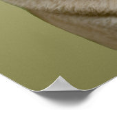 パグアップル ポスター (角)