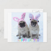 パグイースターバニー シーズンポストカード (正面/裏面)