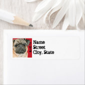 パグカラーブロック ラベル (インサイチュ)