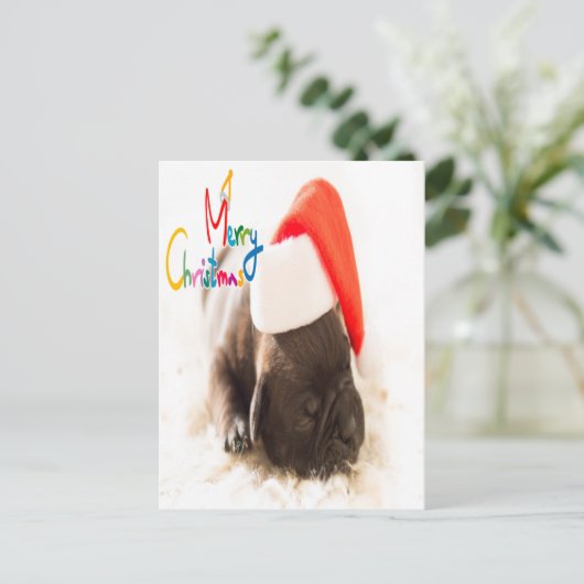パグクリスマス ポストカード (スタンド正面)