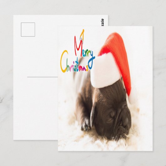 パグクリスマス ポストカード (正面/裏面)
