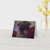 パググリーチンカード町 カード (黄色い花)