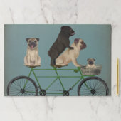 パグタンデム ペーパーパッド (インサイチュ)