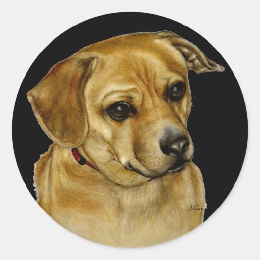 パグダッシーのシール ラウンドシール (正面)