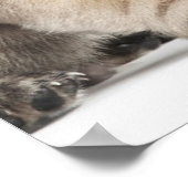 パグパピー3体 ポスター (角)