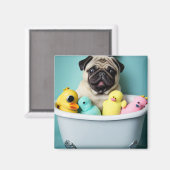パグパラダイス:浴槽の中の入浴美しい マグネット (正面/裏面)
