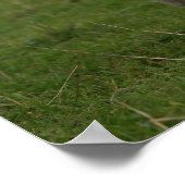 パグパンティン ポスター (角)